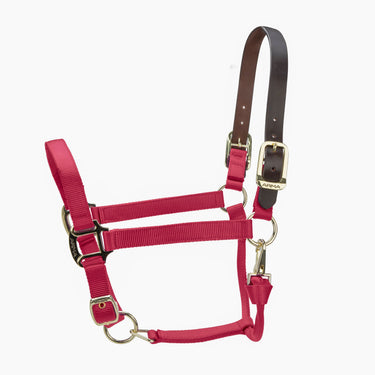 Shires ARMA Premium Adjustable FieldSafe Headcollar Red| Online For Equine
