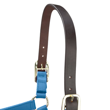 Shires ARMA Premium Adjustable FieldSafe Headcollar Royal| Online For Equine