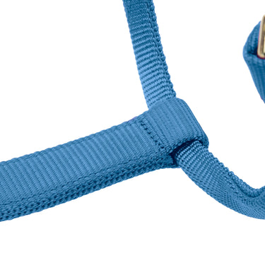 Shires ARMA Premium Adjustable FieldSafe Headcollar Royal| Online For Equine