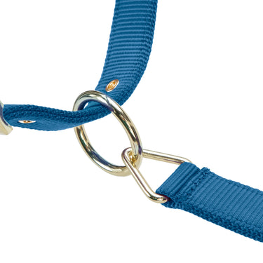 Shires ARMA Premium Adjustable FieldSafe Headcollar Royal| Online For Equine