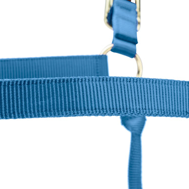 Shires ARMA Premium Adjustable FieldSafe Headcollar Royal| Online For Equine