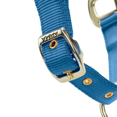 Shires ARMA Premium Adjustable FieldSafe Headcollar Royal| Online For Equine
