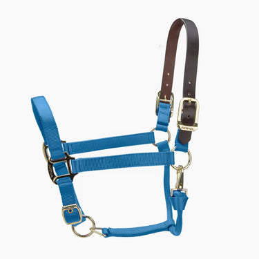 Shires ARMA Premium Adjustable FieldSafe Headcollar Royal| Online For Equine