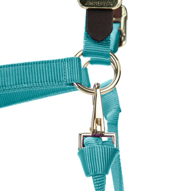 Shires ARMA Premium Adjustable FieldSafe Headcollar Teal| Online For Equine