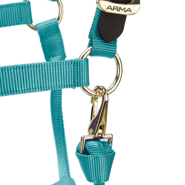 Shires ARMA Premium Adjustable FieldSafe Headcollar Teal| Online For Equine