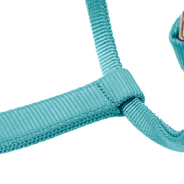 Shires ARMA Premium Adjustable FieldSafe Headcollar Teal| Online For Equine