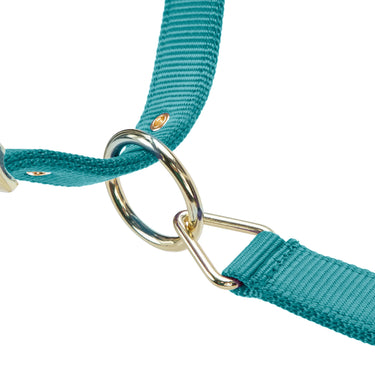 Shires ARMA Premium Adjustable FieldSafe Headcollar Teal| Online For Equine