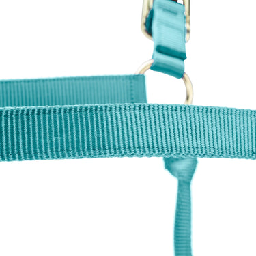 Shires ARMA Premium Adjustable FieldSafe Headcollar Teal| Online For Equine