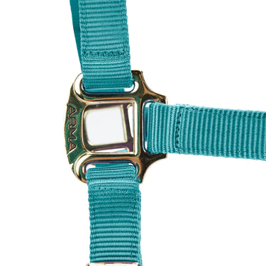 Shires ARMA Premium Adjustable FieldSafe Headcollar Teal| Online For Equine