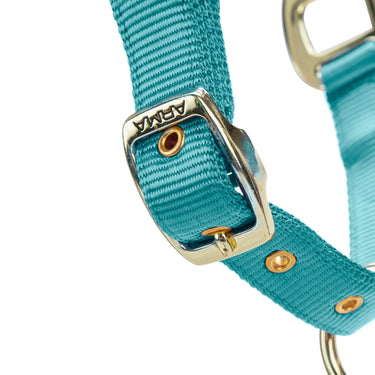 Shires ARMA Premium Adjustable FieldSafe Headcollar Teal| Online For Equine