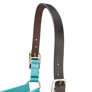 Shires ARMA Premium Adjustable FieldSafe Headcollar Teal| Online For Equine
