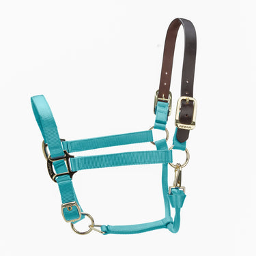 Shires ARMA Premium Adjustable FieldSafe Headcollar Teal| Online For Equine