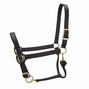 Shires ARMA Premium Adjustable Headcollar Black| Online For Equine