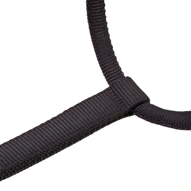 Shires ARMA Premium Adjustable Headcollar Black| Online For Equine