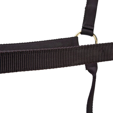 Shires ARMA Premium Adjustable Headcollar Black| Online For Equine