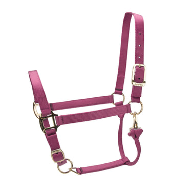 Shires ARMA Premium Adjustable Headcollar Burgundy| Online For Equine