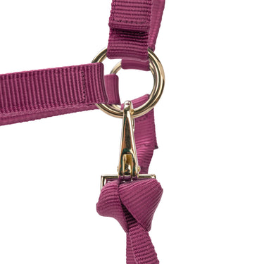 Shires ARMA Premium Adjustable Headcollar Burgundy| Online For Equine