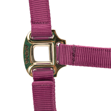 Shires ARMA Premium Adjustable Headcollar Burgundy| Online For Equine