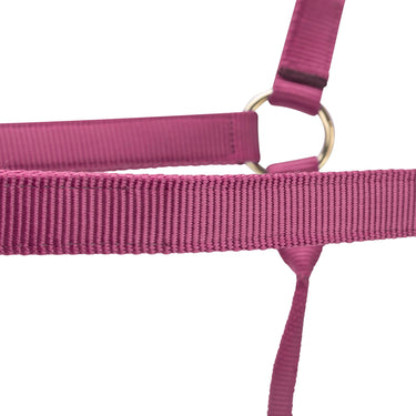 Shires ARMA Premium Adjustable Headcollar Burgundy| Online For Equine