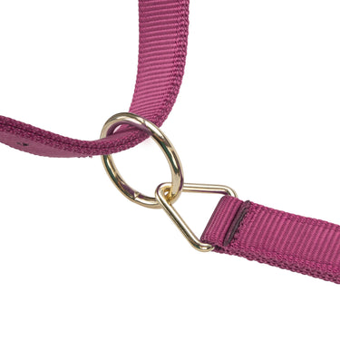 Shires ARMA Premium Adjustable Headcollar Burgundy| Online For Equine