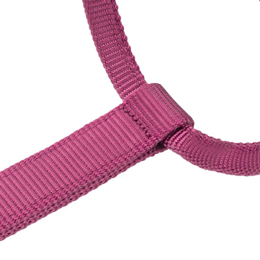 Shires ARMA Premium Adjustable Headcollar Burgundy| Online For Equine
