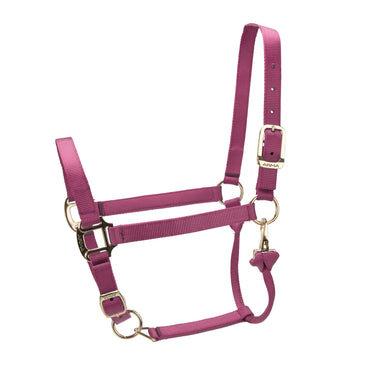 Shires ARMA Premium Adjustable Headcollar Burgundy| Online For Equine