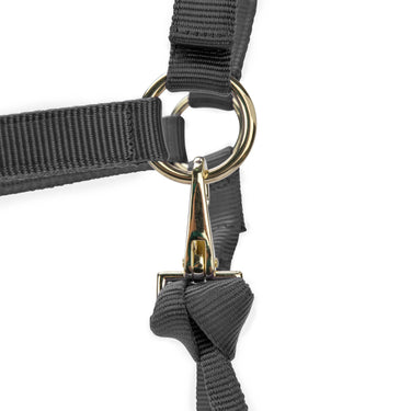 Shires ARMA Premium Adjustable Headcollar Grey| Online For Equine