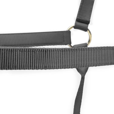 Shires ARMA Premium Adjustable Headcollar Grey| Online For Equine
