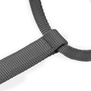 Shires ARMA Premium Adjustable Headcollar Grey| Online For Equine
