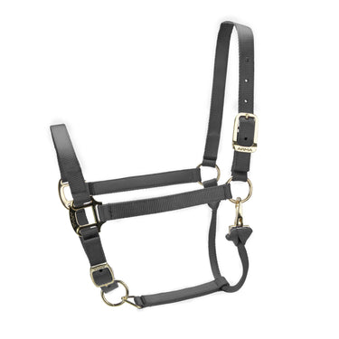 Shires ARMA Premium Adjustable Headcollar Grey| Online For Equine