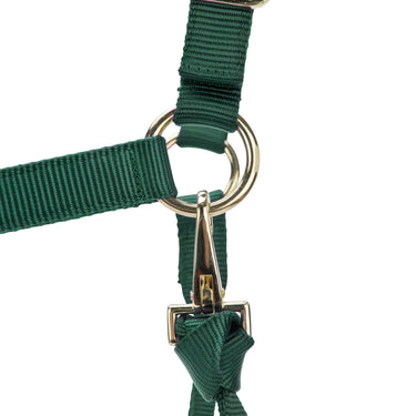 Shires ARMA Premium Adjustable Headcollar Hunter| Online For Equine