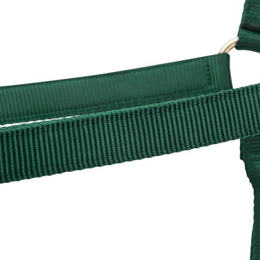Shires ARMA Premium Adjustable Headcollar Hunter| Online For Equine