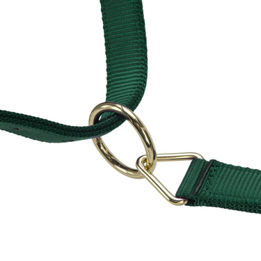 Shires ARMA Premium Adjustable Headcollar Hunter| Online For Equine