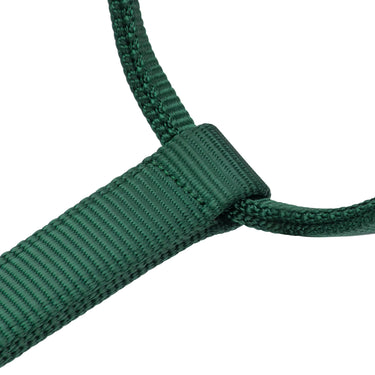 Shires ARMA Premium Adjustable Headcollar Hunter| Online For Equine