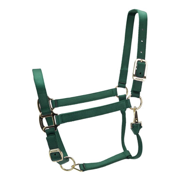 Shires ARMA Premium Adjustable Headcollar Hunter| Online For Equine