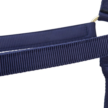 Shires ARMA Premium Adjustable Headcollar Navy| Online For Equine