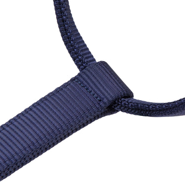 Shires ARMA Premium Adjustable Headcollar Navy| Online For Equine