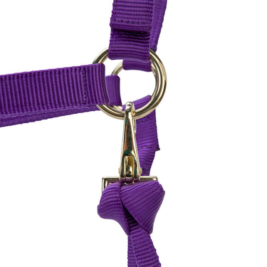Shires ARMA Premium Adjustable Headcollar Purple| Online For Equine