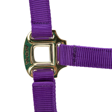 Shires ARMA Premium Adjustable Headcollar Purple| Online For Equine