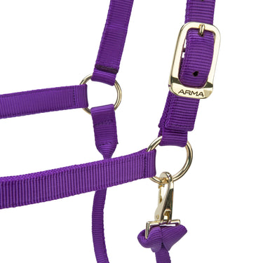 Shires ARMA Premium Adjustable Headcollar Purple| Online For Equine