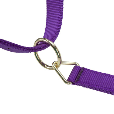 Shires ARMA Premium Adjustable Headcollar Purple| Online For Equine