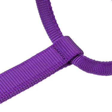 Shires ARMA Premium Adjustable Headcollar Purple| Online For Equine