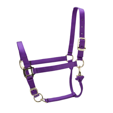 Shires ARMA Premium Adjustable Headcollar Purple| Online For Equine
