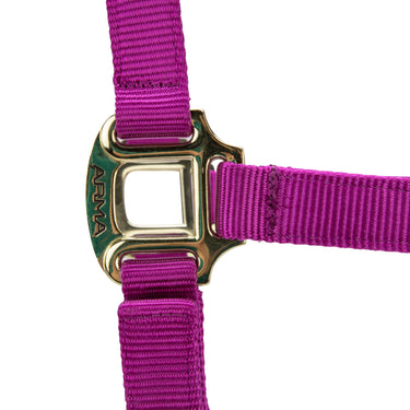 Shires ARMA Premium Adjustable Headcollar Raspberry| Online For Equine
