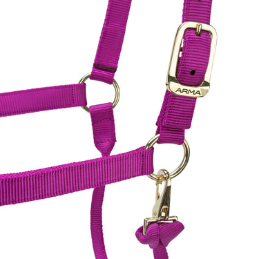 Shires ARMA Premium Adjustable Headcollar Raspberry| Online For Equine