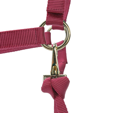 Shires ARMA Premium Adjustable Headcollar Red| Online For Equine