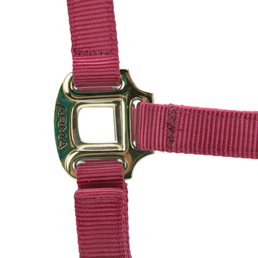 Shires ARMA Premium Adjustable Headcollar Red| Online For Equine