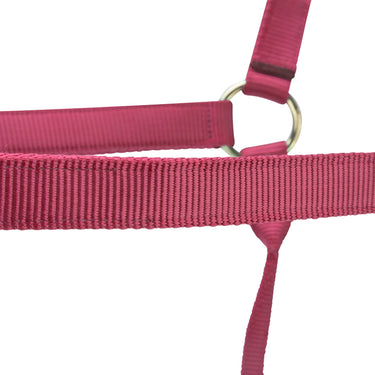 Shires ARMA Premium Adjustable Headcollar Red| Online For Equine