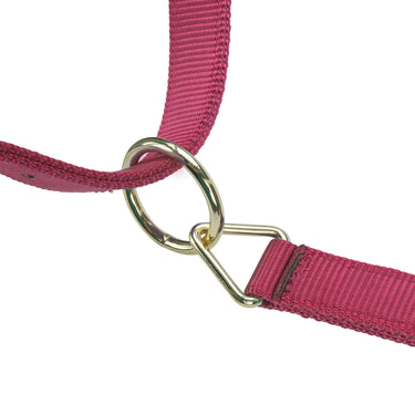 Shires ARMA Premium Adjustable Headcollar Red| Online For Equine