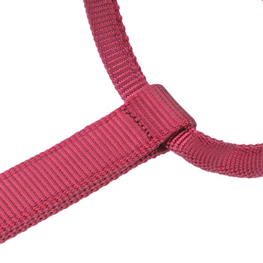 Shires ARMA Premium Adjustable Headcollar Red| Online For Equine